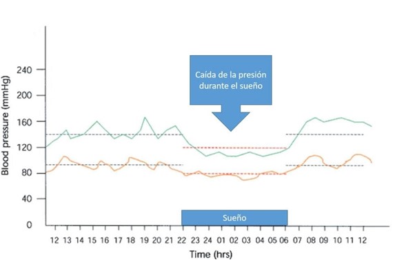 Mapa Monitoreo Ambulatorio De La Presión Arterial Vascusalud 7598